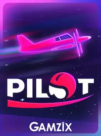 Pilot crash at 558H COM