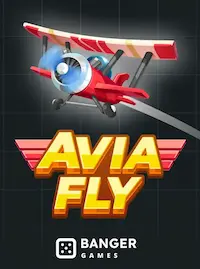Avia Fly crash at 558H COM